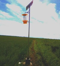 云飛稻田殺蟲(chóng)燈圖片