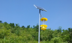 殺蟲燈防治草莓地下害蟲地老虎的綠控技術應用