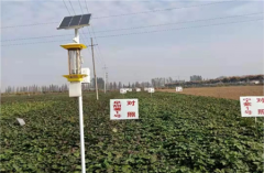 云飛太陽能殺蟲燈入駐安徽大學試驗田！